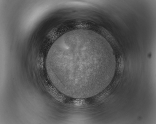 X0000116300762200912141335