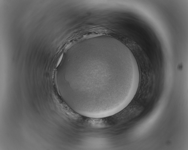 X0000116300767200912141335