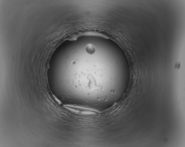 X0000116300769200912141334