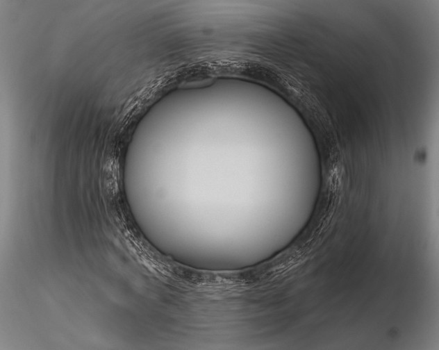 X0000116300772200912141334