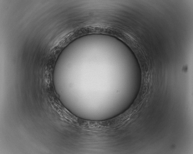 X0000116300774200912141334