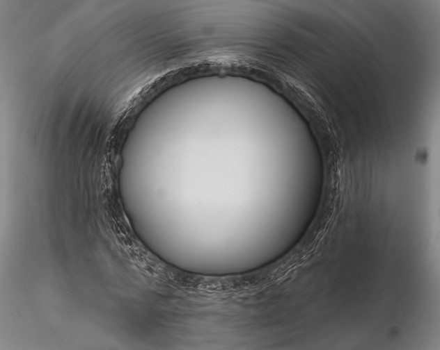 X0000116300776200912141334