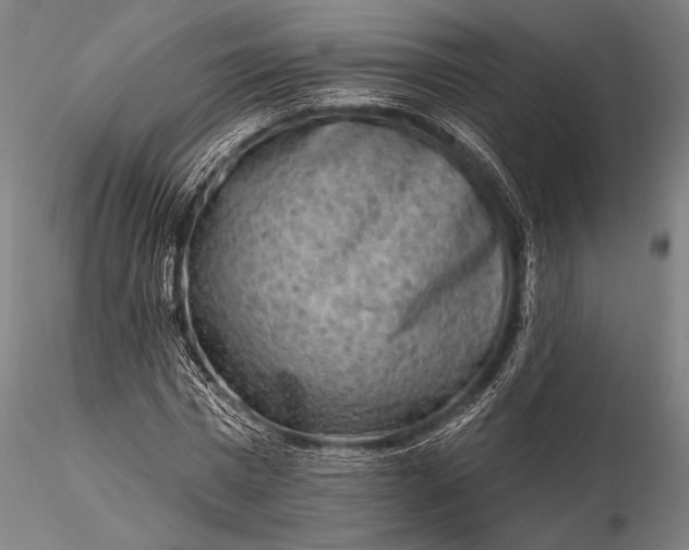 X0000116300777200912141334