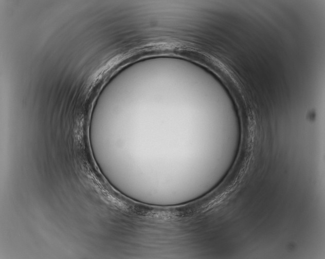 X0000116300778200912141334