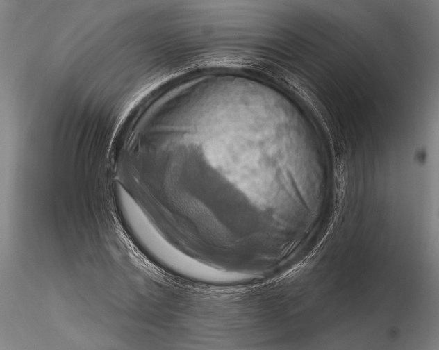 X0000116300779200912141334