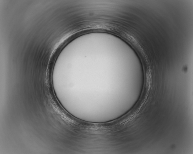 X0000116300780200912141334