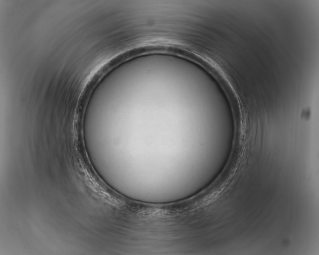 X0000116300783200912141334