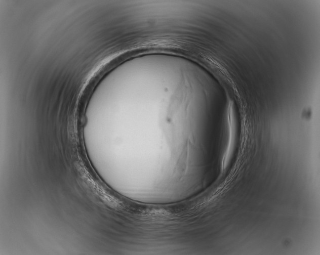 X0000116300784200912141334