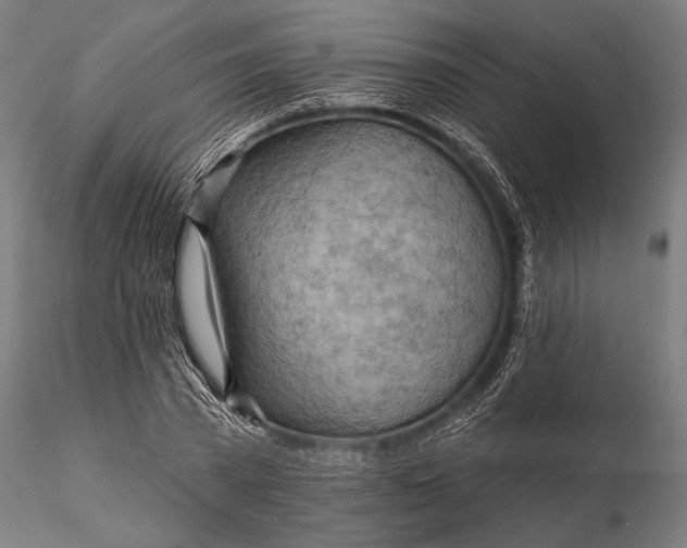 X0000116300785200912141334