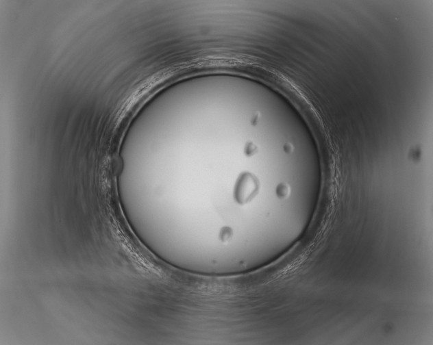 X0000116300786200912141334