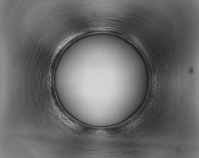 X0000116300787200912141334