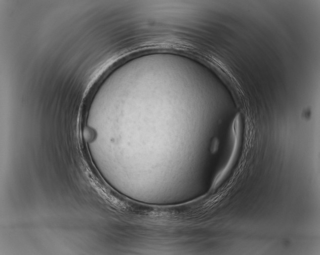 X0000116300788200912141334