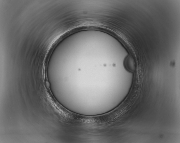 X0000116300791200912141334