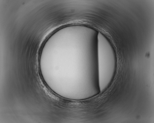 X0000116300792200912141334