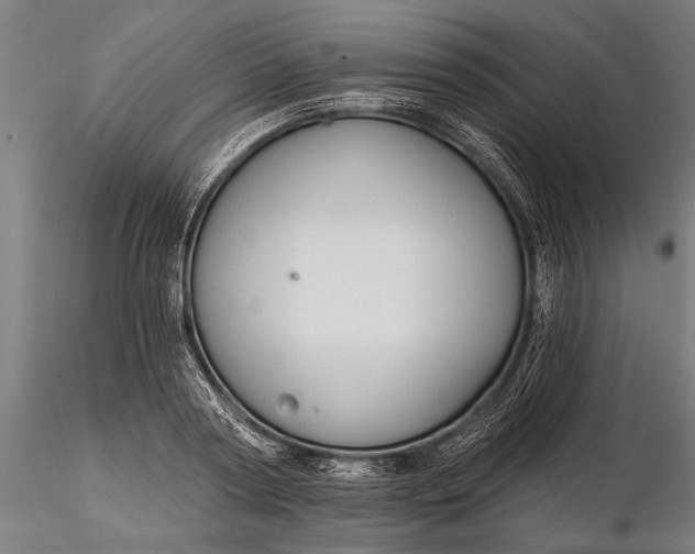 X0000116300794200912141334