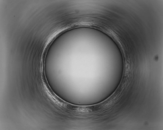 X0000116300795200912141334