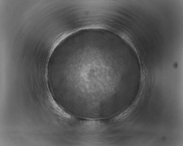 X0000116300797200912141334