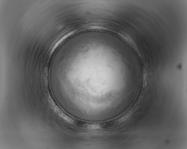 X0000116300798200912141334