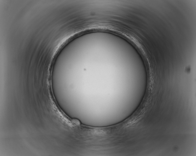 X0000116300799200912141334