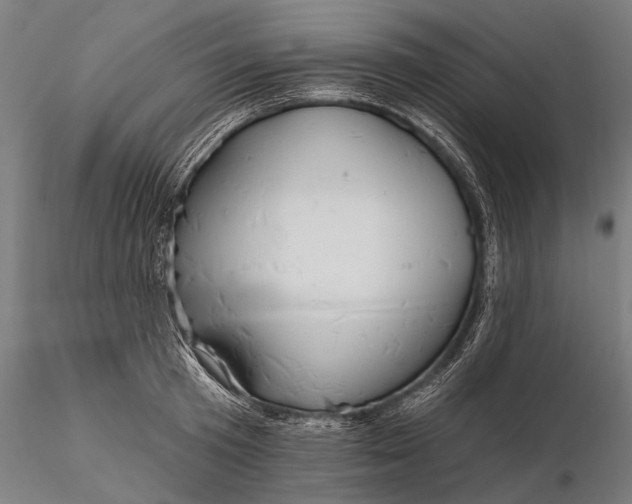 X0000116300801200912141334