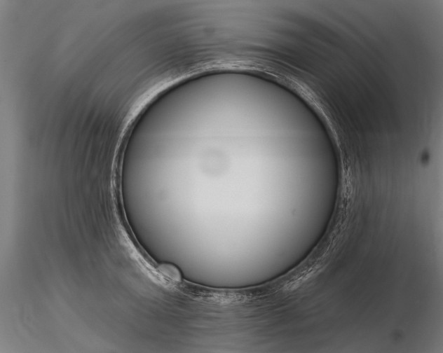 X0000116300803200912141334