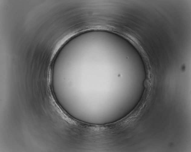 X0000116300804200912141334