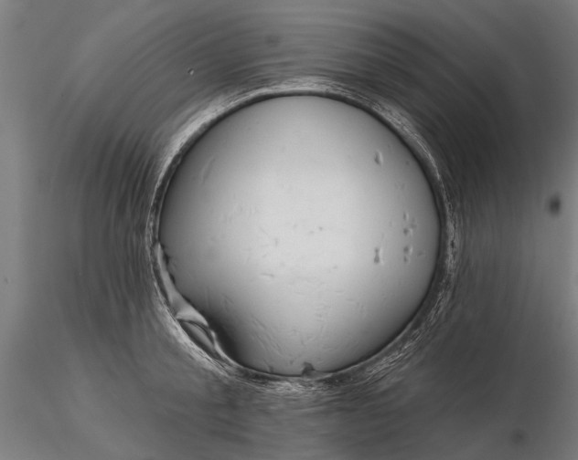 X0000116300805200912141334