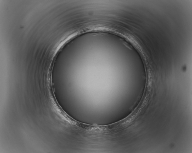 X0000116300806200912141334