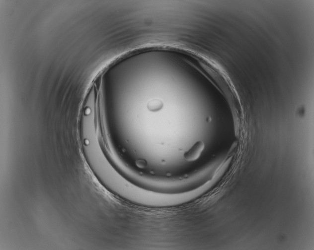 X0000116300807200912141334