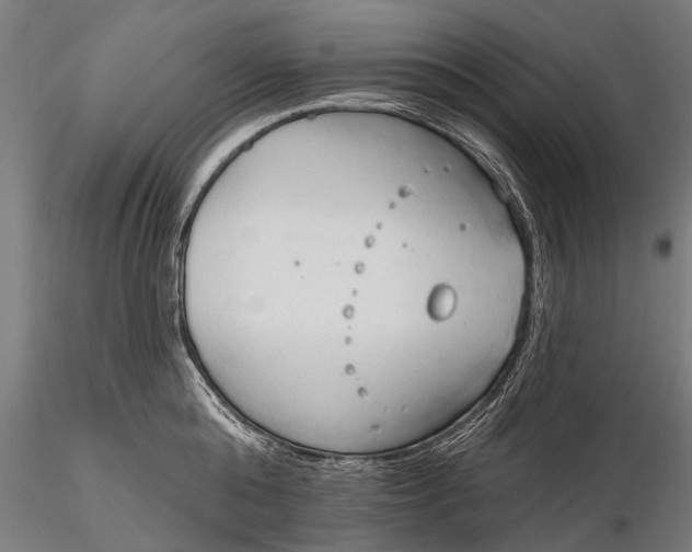 X0000116300808200912141334