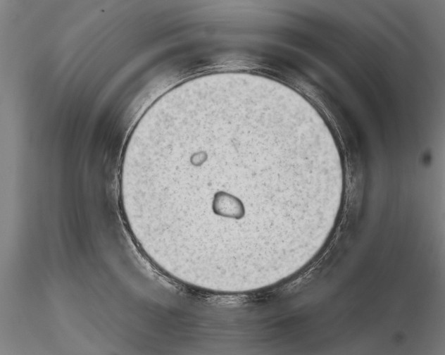 X0000116300810200912141334