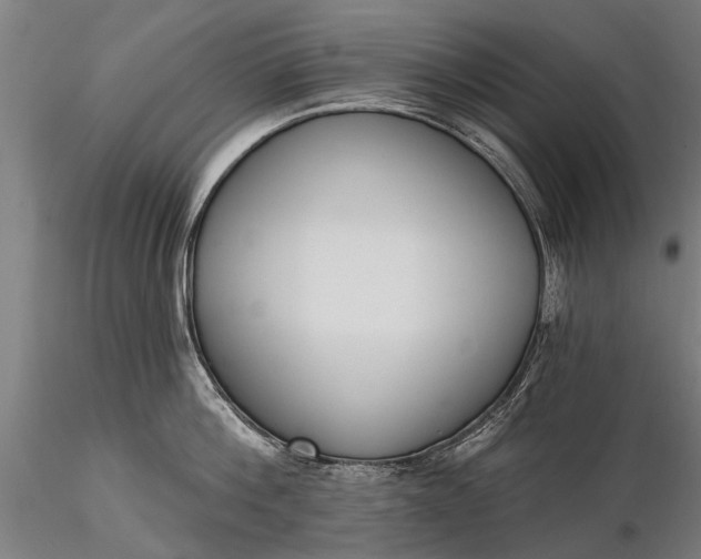 X0000116300812200912141334