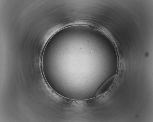 X0000116300813200912141334