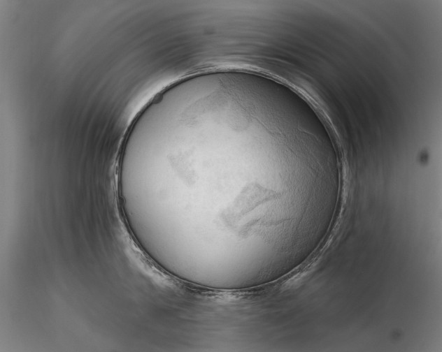 X0000116300814200912141333