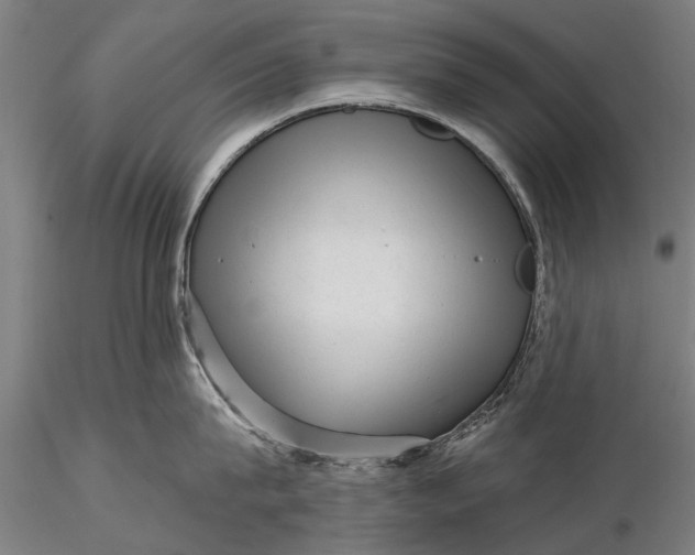 X0000116300815200912141333