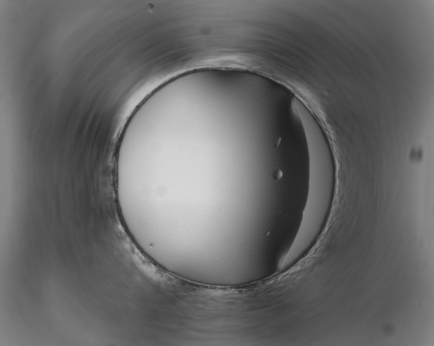 X0000116300816200912141333