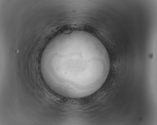 X0000116300817200912141333