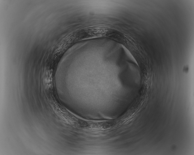 X0000116300818200912141333