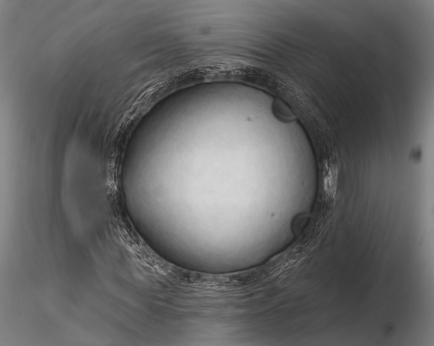 X0000116300819200912141333