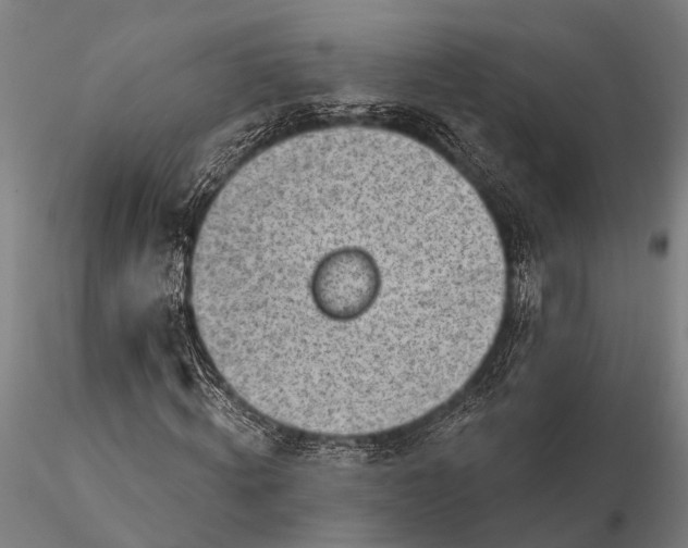 X0000116300820200912141333