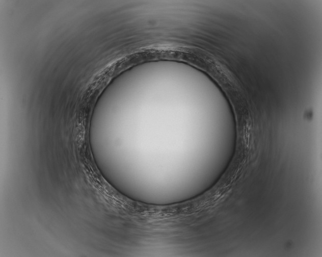 X0000116300821200912141333