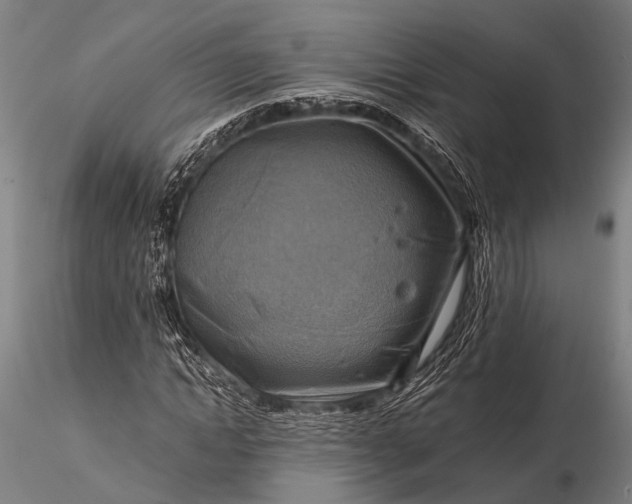 X0000116300822200912141333