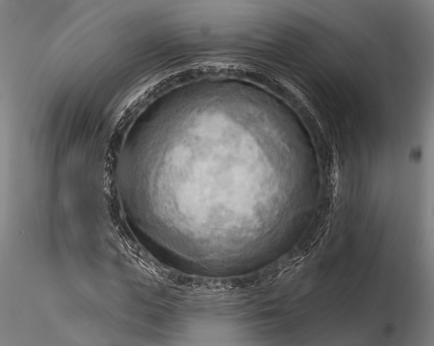 X0000116300823200912141333