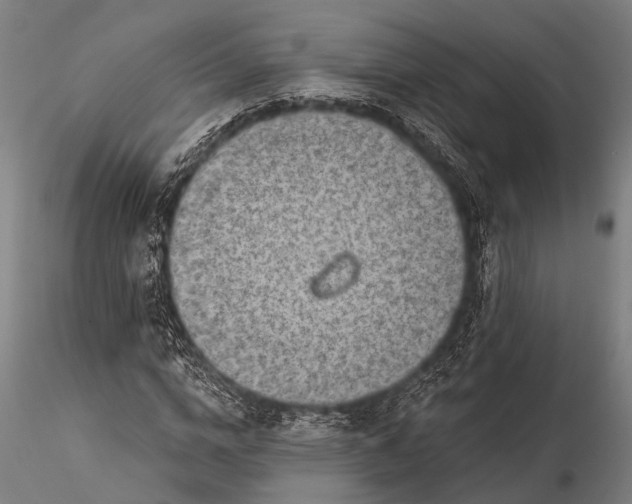 X0000116300824200912141333