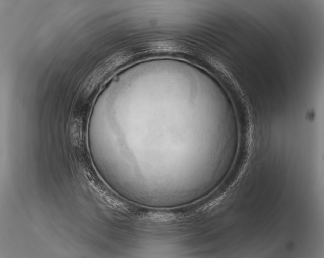 X0000116300825200912141333