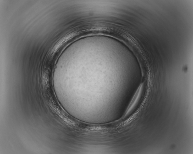 X0000116300826200912141333