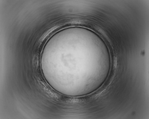 X0000116300829200912141333