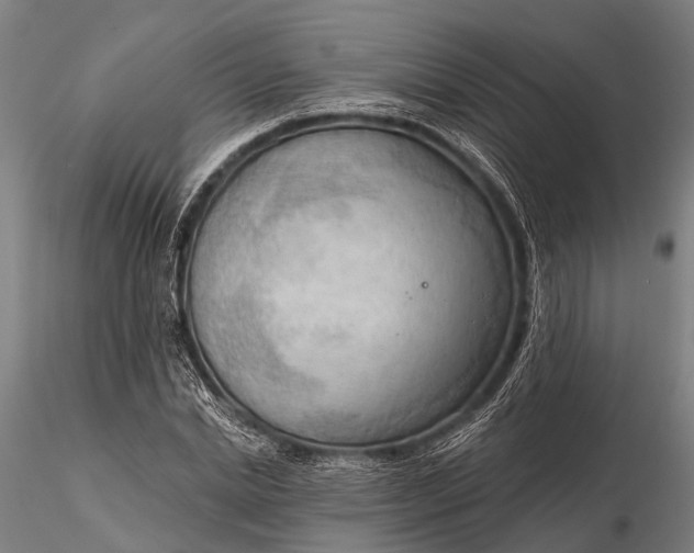 X0000116300830200912141333