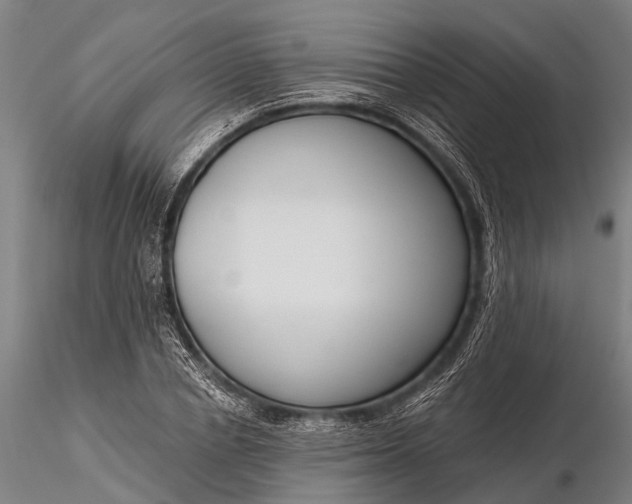 X0000116300834200912141333