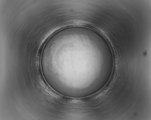 X0000116300835200912141333